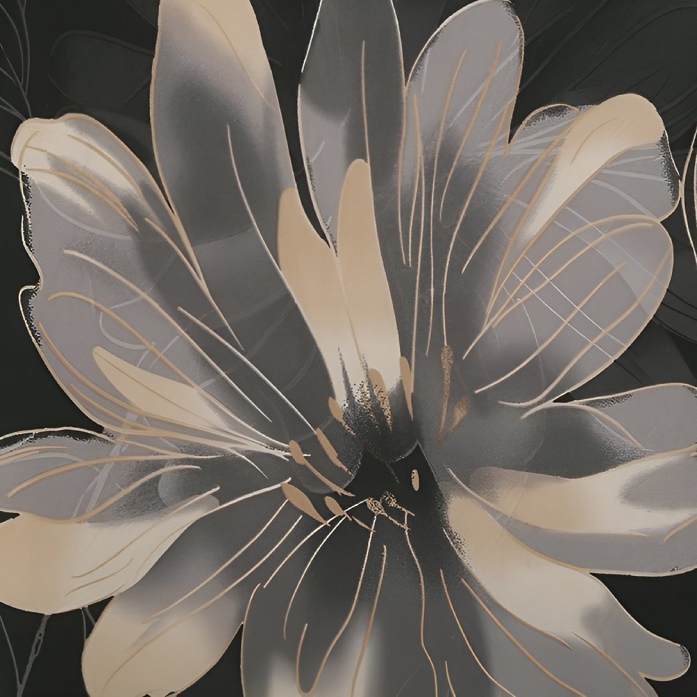 Housse Clic Clac Noir | Velours Nocturne